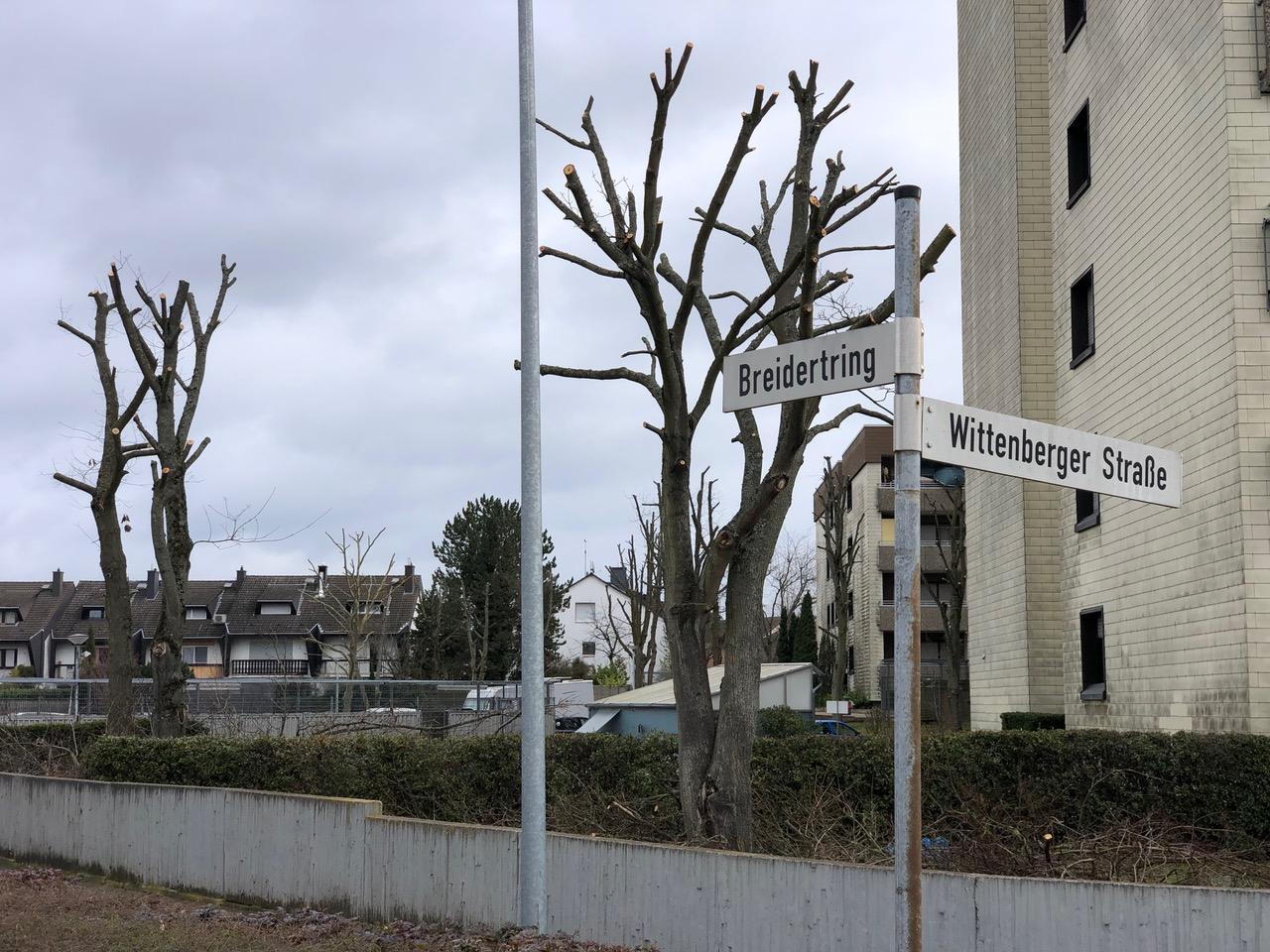 Folgen unsachgemäßer Baumarbeiten